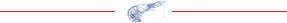 text-seprator-min