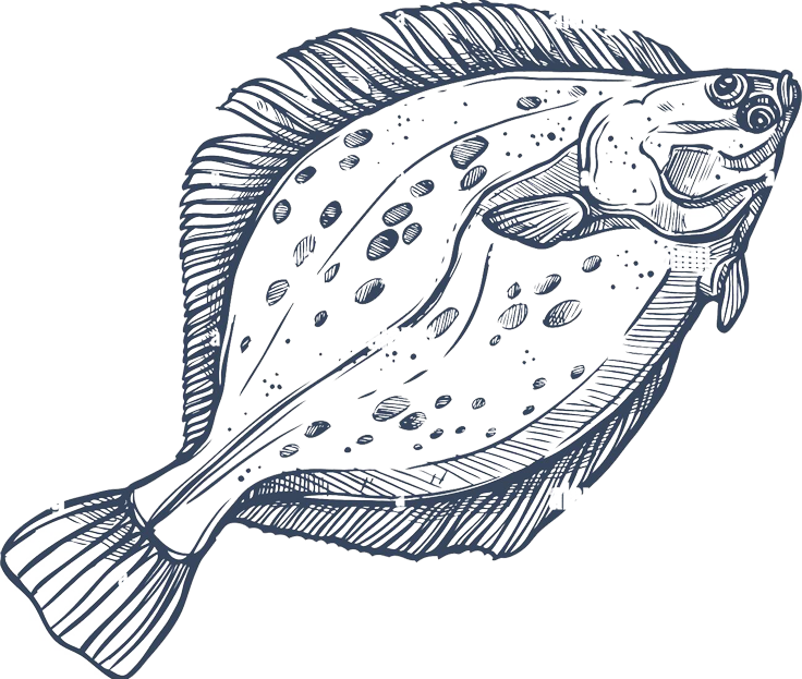 ShellFishCaseForProfucts ShellFishCaseForProfucts